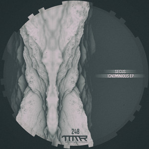 Variables (Original Mix)