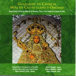 Guadalupe en Charcas