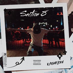 Section 8 (Explicit)
