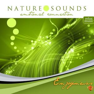 Natural Sounds Emotional Connection Enjoyness