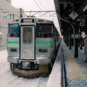 真爱假说（米糕摇10）