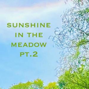 sunshine in the meadow pt. 2