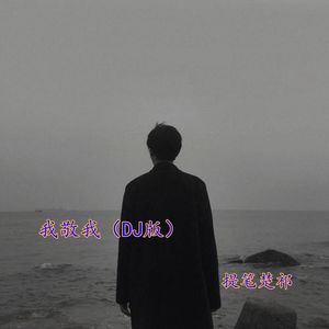 我敬我 (DJ版)