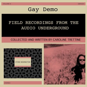 Gay Demo: Field Recordings from the Audio Underground