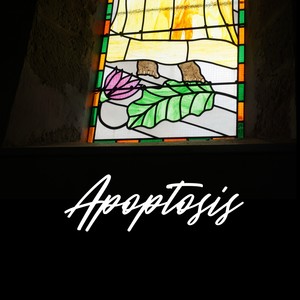 Apoptosis