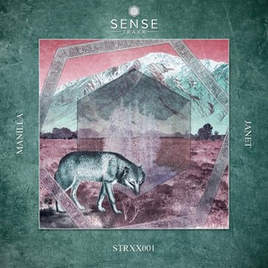 Janet (Simon Shaw Remix)