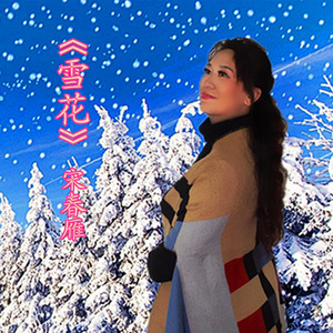 宋春雁 - 雪花