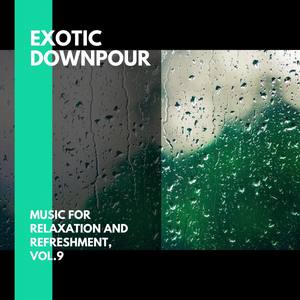 Exotic Downpour - Music for Relaxation and Refreshment, Vol.9