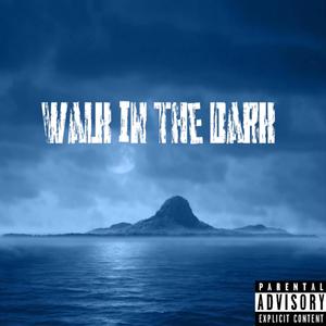 walk in the dark (Explicit)