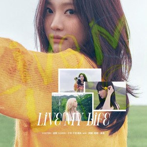 Dipper翻唱团 - Live My Life
