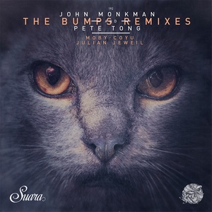 The Bumps (Julian Jeweil Remix)