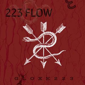 223 Flow (Explicit)