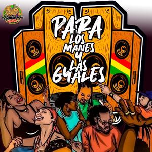 Pa Los Manes Y Las Gyales (feat. DjRoutMan & Tj Roots) [Explicit]