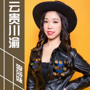 云贵川渝