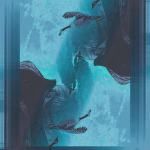 +The Higher Realms (Explicit)