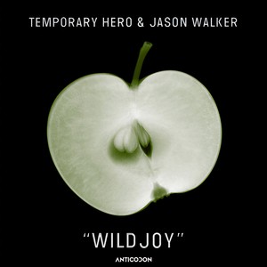 WILDJOY (MNDR Remix)