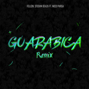 Guarabica (Remix)