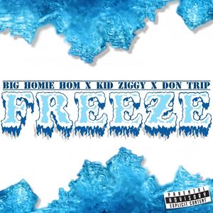 Freeze  (feat. Kid Ziggy & Don Trip) [Explicit]