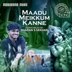 Maadumekkum Kanne Ni (Carnatic Classical Instrumental)