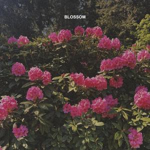 Blossom