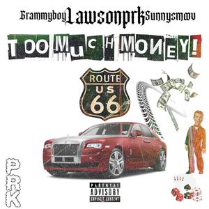 Too Much Money! (feat. GrammyBoy & SunnySmoov) [Explicit]