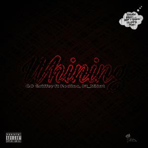 Whining (Slowed + Reverb)