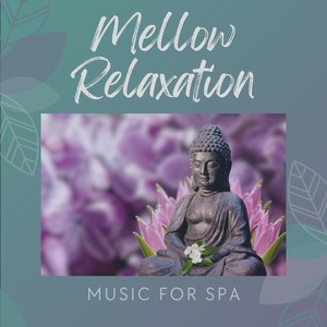 Soundscapes Relaxation Music