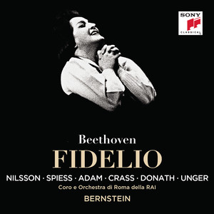 Fidelio, Op. 72 - Act II: O namenlose Freude (歌剧《费德里奥》，Op. 72)