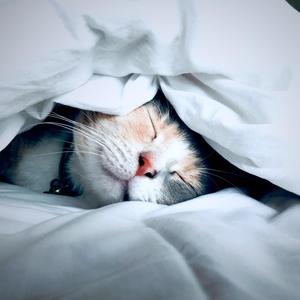 It's Okay to Fall Asleep(feat. Felipe Paccagnella)