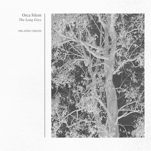 Decay (Original Mix)