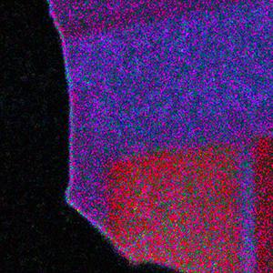 DAMN (feat. AsaphDaKing) (Explicit)