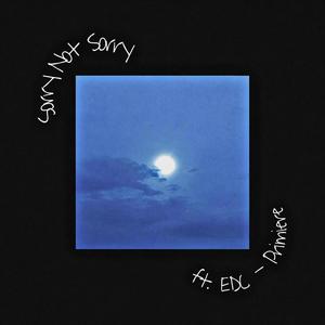 SorryNotSorry (feat. EDC - Primiere)