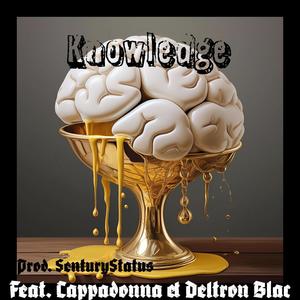 Knowledge (feat. Cappadonna & Deltron Blac) (Explicit)