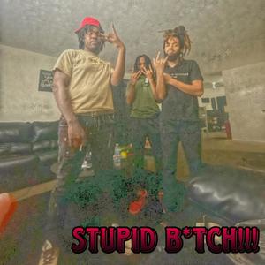 STUPID *****!!! (feat. BANDBOSS & LUHMURDAH JAY) (Explicit)