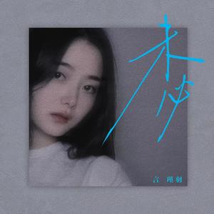 未必 (DJ铁柱版)封面