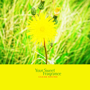 향긋한 너의 향기 (Your Sweet Fragrance)