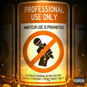 PROFESSIONAL USE ONLY (DELUXE EDITION) [Explicit]