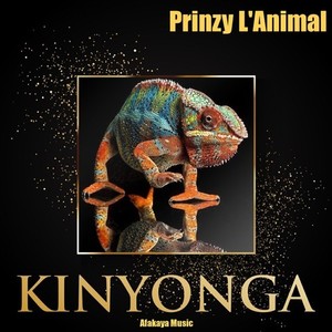 Kinyonga