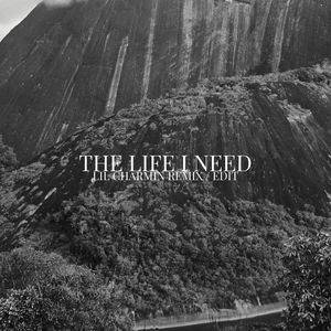 The Life I Need (Lil Charmin Remix / Edit)