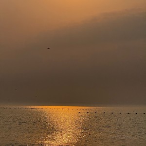 都督宝贝 - 我是人间限量绝版牌DJ