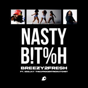 Nasty ***** (feat. Essjay TheAfrocentricRatchet) (Explicit)