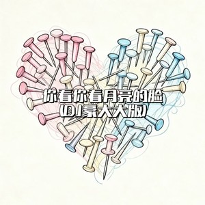 你看你看月亮的脸-大头针 Official