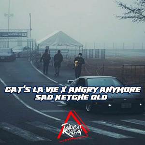 DJ OLD CATS LA VIE X IM NOT ANGRY ANYMORE SELOW BASS