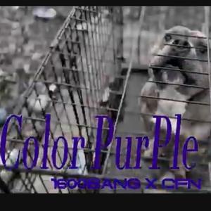 Color Purple (feat. CFN) [Explicit]