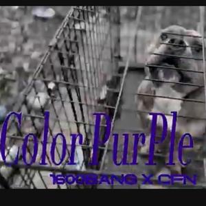 Color Purple (feat. CFN) (Explicit)
