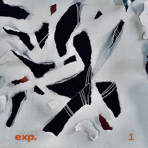 Exp 1