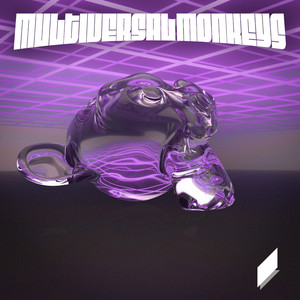 Multiversal Monkeys