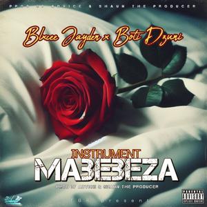 Mabebeza (feat. Shaun The Producer)
