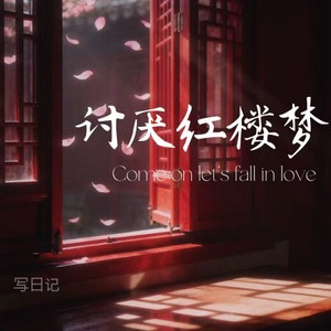 讨厌红楼梦 (女声版)