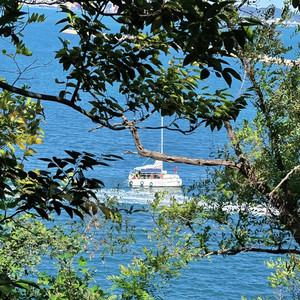 放学别打我 (DJ旋律版)